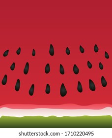 Minimal stylistic vector illustration of a juicy red watermelon slice