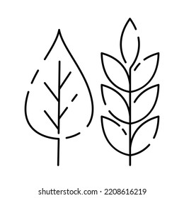 Minimal thanksgiving holiday line icons celebrating family and American heritage with items. Autumn plant leaf grain wheat 