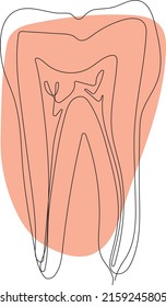 Minimal tooth line art images