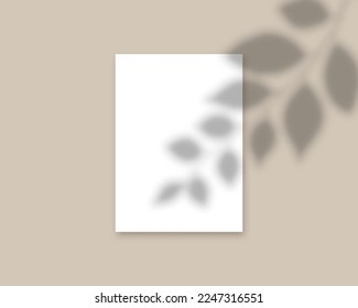 Parodia mínima de tarjeta vectorial de 5x7 pulgadas. Hoja de papel blanco en blanco con un sutil efecto de superposición de sombra. Plantilla de maquillaje editable para la tarjeta de saludo de presentación o la invitación de boda.