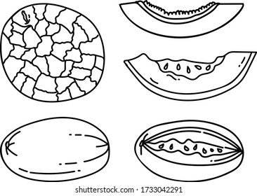 minimal vector clip art  melon
