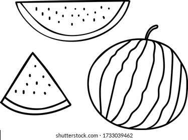 minimal vector clip art water melon
