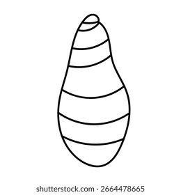 Minimal vector contour drawing of a seashell in elegant line art style.
