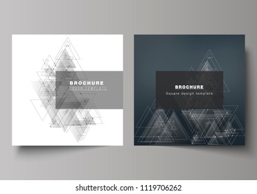 The minimal vector editable layout of two square format covers design templates for brochure, flyer, magazine. Polygonal background with triangles, connecting dots and lines. Connection structure.