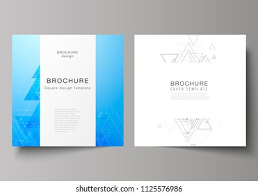 The minimal vector editable layout of two square format covers design templates for brochure, flyer, magazine. Polygonal background with triangles, connecting dots and lines. Connection structure.