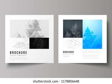 The minimal vector editable layout of two square format covers design templates for brochure, flyer, magazine. Polygonal background with triangles, connecting dots and lines. Connection structure.