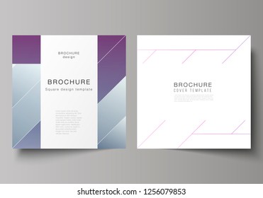 The minimal vector illustration of editable layout of two square format covers design templates for brochure, flyer, magazine. Creative modern cover concept, colorful background