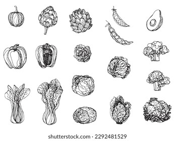 Minimal vegetable drawing set, ink doodle vegetables vector illustration, contour line vegetable drawing vector icon, hand drawing stylized natural food, outline vegetable sketching set 2