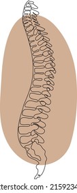 Minimal vertebra line art images