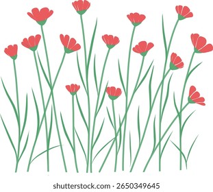 Minimal wildflower illustration with red blossoms and green stems