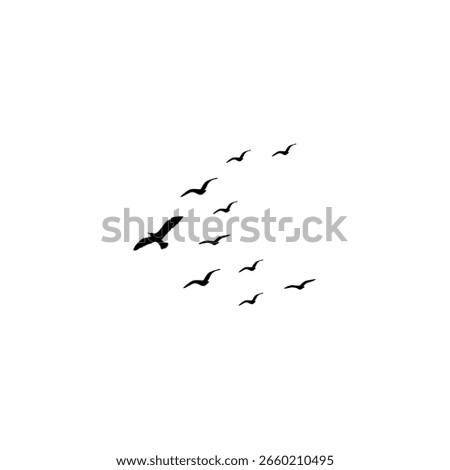 Minimal wildlife vector art showing birds in smooth synchronized flight
