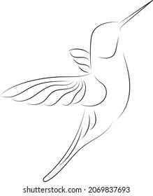 minimalism abstract modern logo design line art drawing vector bird fly animal wildlife  outline graphic design hummingbird sketch nature 