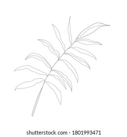 Minimalism line drawing. Flower vector one line art. Botanical Sketch Vector Illustration. Nature vector Line drawing.
