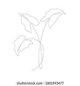 Dibujo de líneas minimalistas. Vector de flor, arte de una línea. Ilustración del vector de esbozo botánico. Dibujo de línea vectorial de naturaleza.