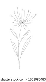 Minimalism line drawing. Flower vector one line art. Botanical Sketch Vector Illustration. Nature vector Line drawing.