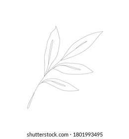 Minimalism line drawing. Flower vector one line art. Botanical Sketch Vector Illustration. Nature vector Line drawing.