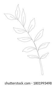Minimalism line drawing. Flower vector one line art. Botanical Sketch Vector Illustration. Nature vector Line drawing.
