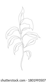 Minimalism line drawing. Flower vector one line art. Botanical Sketch Vector Illustration. Nature vector Line drawing.