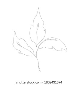 Dibujo de líneas minimalistas. Vector de flor, arte de una línea. Ilustración del vector de esbozo botánico. Dibujo de línea vectorial de naturaleza.