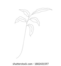 Dibujo de líneas minimalistas. Vector de flor, arte de una línea. Ilustración del vector de esbozo botánico. Dibujo de línea vectorial de naturaleza.
