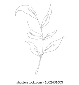 Minimalism line drawing. Flower vector one line art. Botanical Sketch Vector Illustration. Nature vector Line drawing.