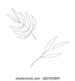 Minimalism line drawing. Flower vector one line art. Botanical Sketch Vector Illustration. Nature vector Line drawing.