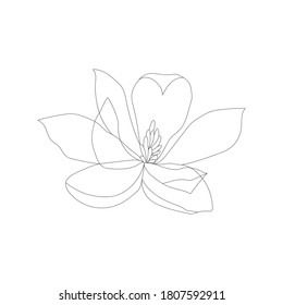 Minimalism line drawing. Flower vector one line art. Botanical Sketch Vector Illustration. Nature vector Line drawing.