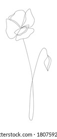 Minimalism line drawing. Flower vector one line art. Botanical Sketch Vector Illustration. Nature vector Line drawing.