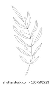 Minimalism line drawing. Flower vector one line art. Botanical Sketch Vector Illustration. Nature vector Line drawing.