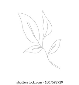 Minimalism line drawing. Flower vector one line art. Botanical Sketch Vector Illustration. Nature vector Line drawing.