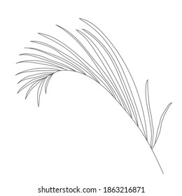 Minimalism line drawing. leaf vector one line art. Botanical Sketch Vector Illustration. Nature vector Line drawing. for home decor such as posters, wall art