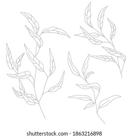 Minimalism line drawing. leaf vector one line art. Botanical Sketch Vector Illustration. Nature vector Line drawing. for home decor such as posters, wall art