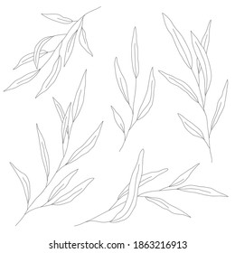 Minimalism line drawing. leaf vector one line art. Botanical Sketch Vector Illustration. Nature vector Line drawing. for home decor such as posters, wall art