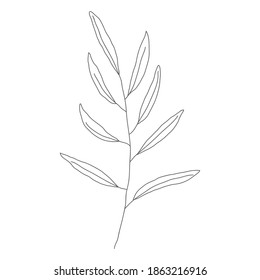 Minimalism line drawing. leaf vector one line art. Botanical Sketch Vector Illustration. Nature vector Line drawing. for home decor such as posters, wall art