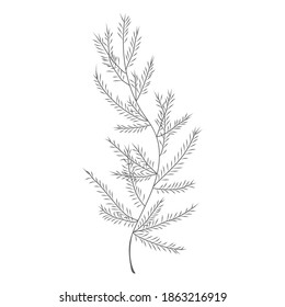 Minimalism line drawing. leaf vector one line art. Botanical Sketch Vector Illustration. Nature vector Line drawing. for home decor such as posters, wall art
