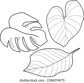 Minimalism one line tropical leaf set