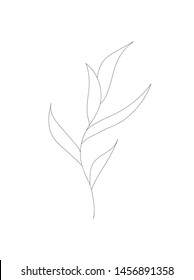 Minimalism stylish outline flower leaf branch tree. Modern design. Perfect for tatoo, postcard, invitation, everything. Vector illustration.