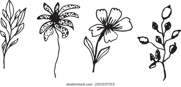  Ramas vectoriales minimalistas. Hojas gráficas para tatuajes, invitaciones. hojas negras y blancas. Establecer la línea de arte. Flores de ilustración vectorial.