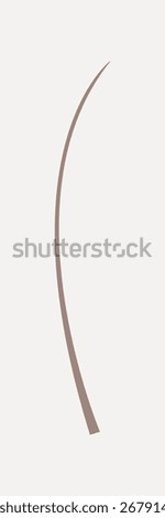 Minimalist abstract art featuring a single curved line on a white background. The curve adds elegance and simplicity, making it a perfect minimalist decor piece. Graphic illustration vector.