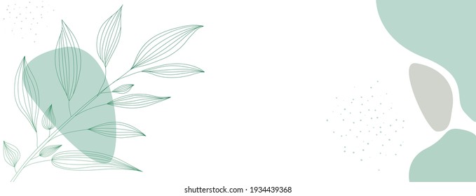 Minimalist abstract background and outline leaves