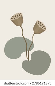Minimalist abstract botanical wall art poster with dry lotus seed pods and sage green organic leaf shapes print.