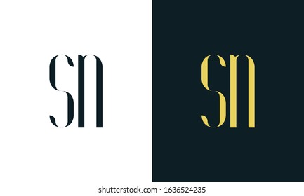 Minimalist abstract line art letter SN logo. This logo icon incorporate with two letter in the creative way.