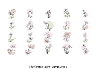 minimalist aesthetic floral set and blob flower line vector illustration