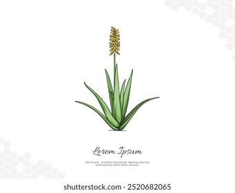 Minimalistische Aloe Vera Pflanzen- und Blumengrafik mit leuchtend grünen Blättern. Ideal für die Bereiche Gesundheit, Hautpflege oder botanisches Design, ideal für Wellness-Marken, Verpackungen oder umweltfreundliche Projekte