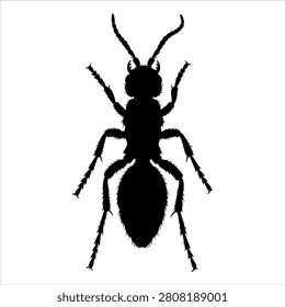 Minimalist ant Black Silhouette vector illustration