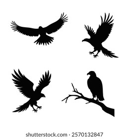 Minimalist and artistic black eagle silhouettes perfect for nature and animal illustration projects