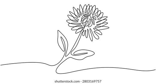 Minimalist Aster Flower Continuous Line Art Hand Drawn Illustration