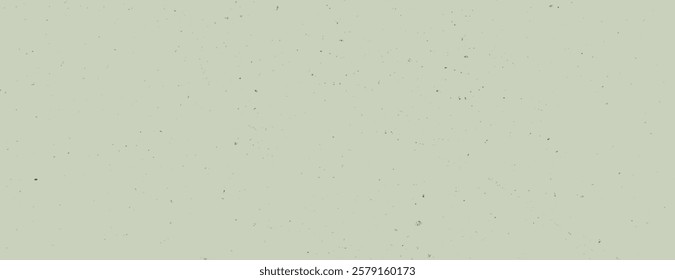 A minimalist background, pale green background with subtle speckled texture. The background is soft and calming, featuring green twice. Minimal grainy speckled texture background vector