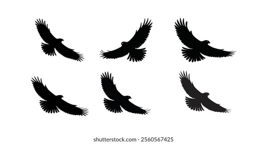 Minimalist Bald Eagle Silhouette Vector Powerful Bird in Flight Sleek and Iconic Design