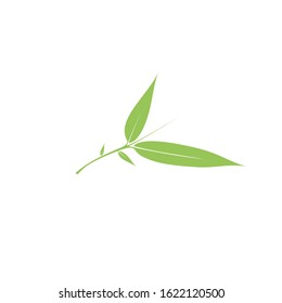 Minimalist Bamboo Leaves Icon Isolated on White Background